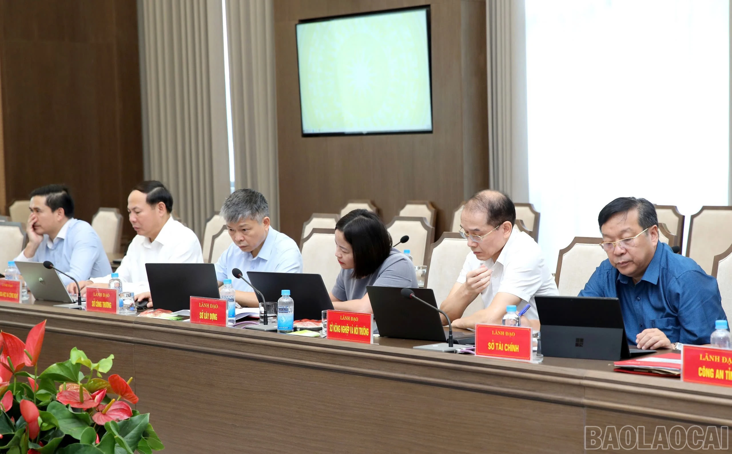 baolaocai-br_z8072010804748-3b6f1138f3ea081bdc6338920bd60c23.jpg