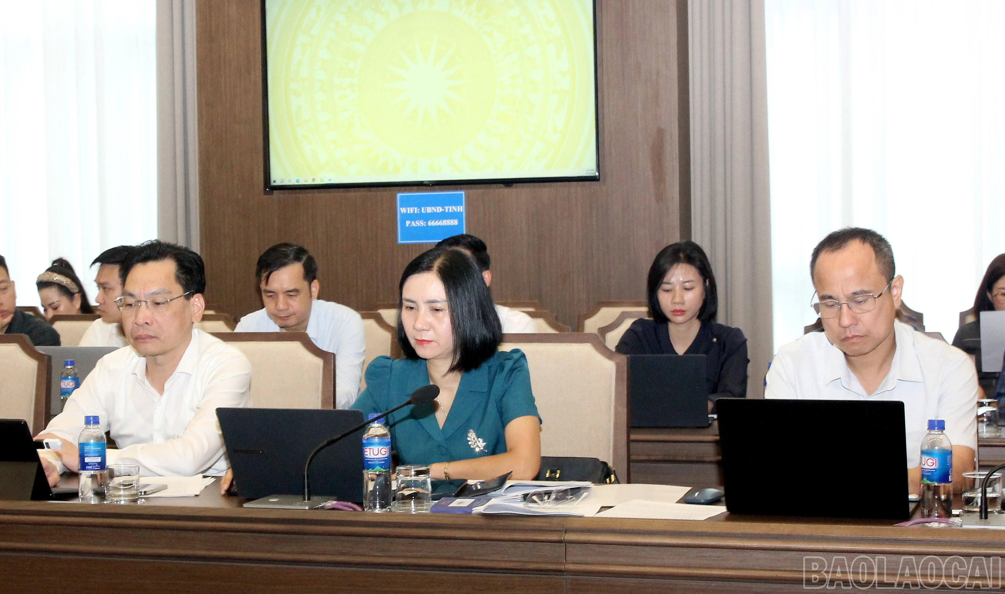 baolaocai-br_img-9827.jpg
