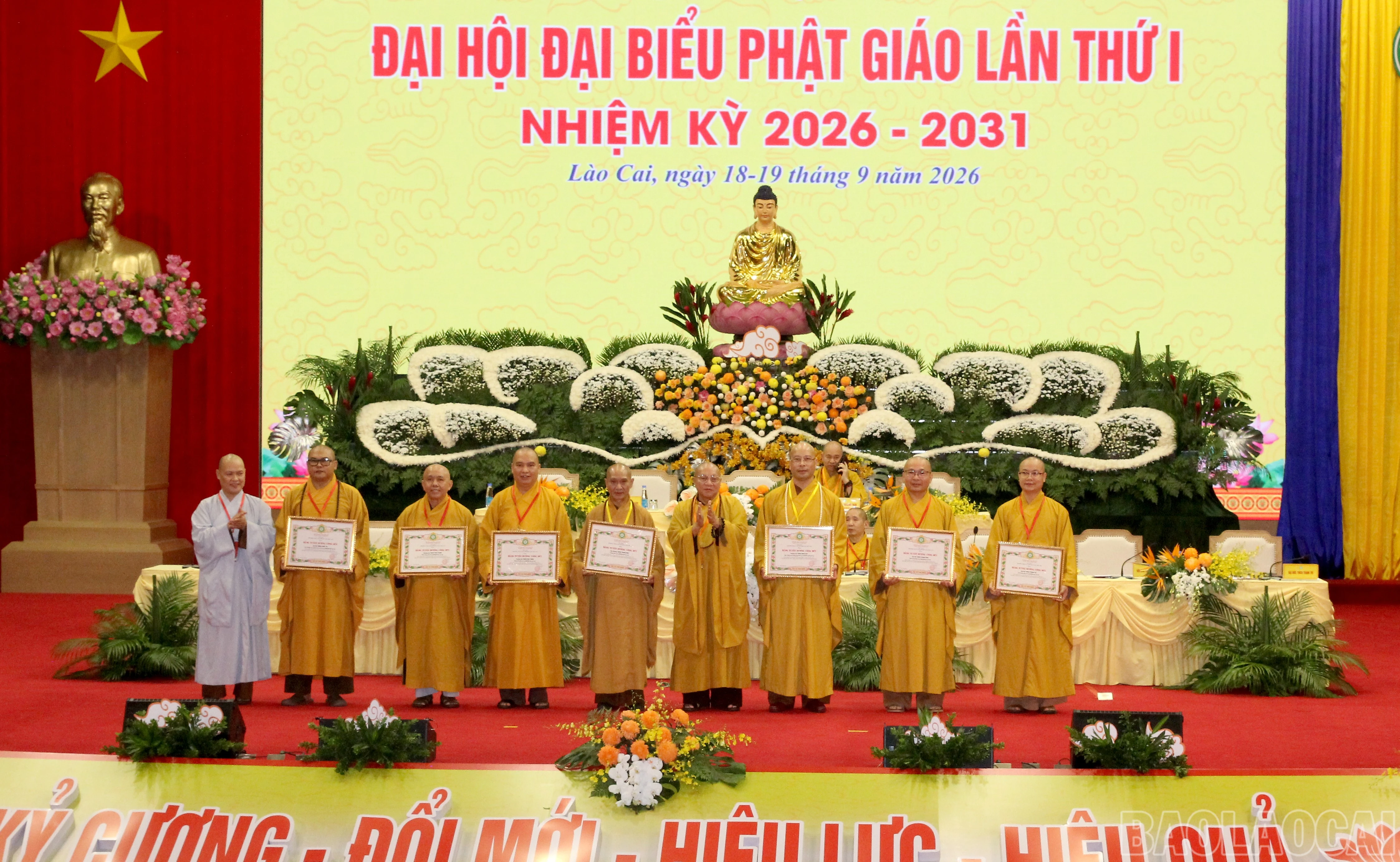 baolaocai-br_img-9927.jpg