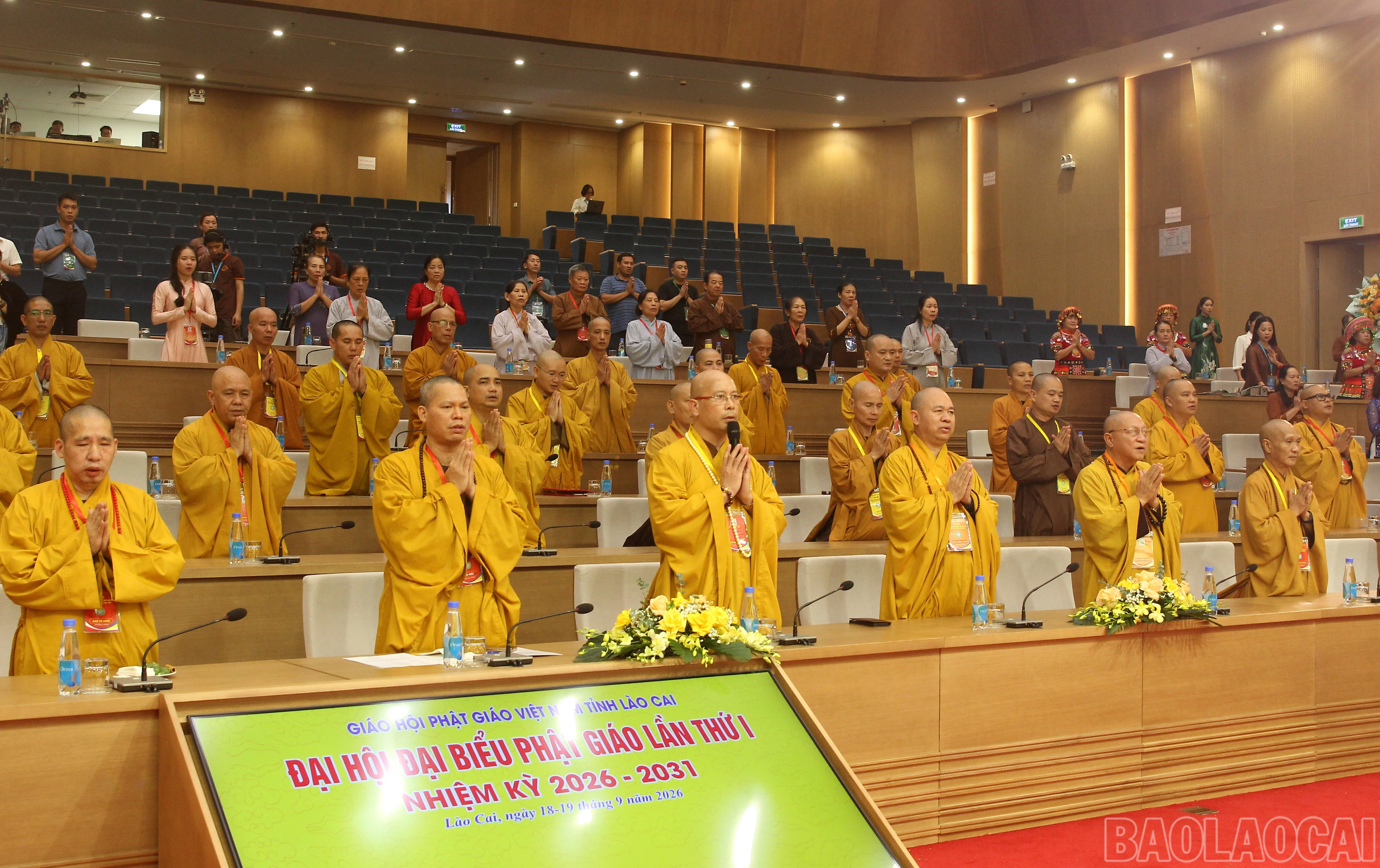 baolaocai-br_img-9868.jpg
