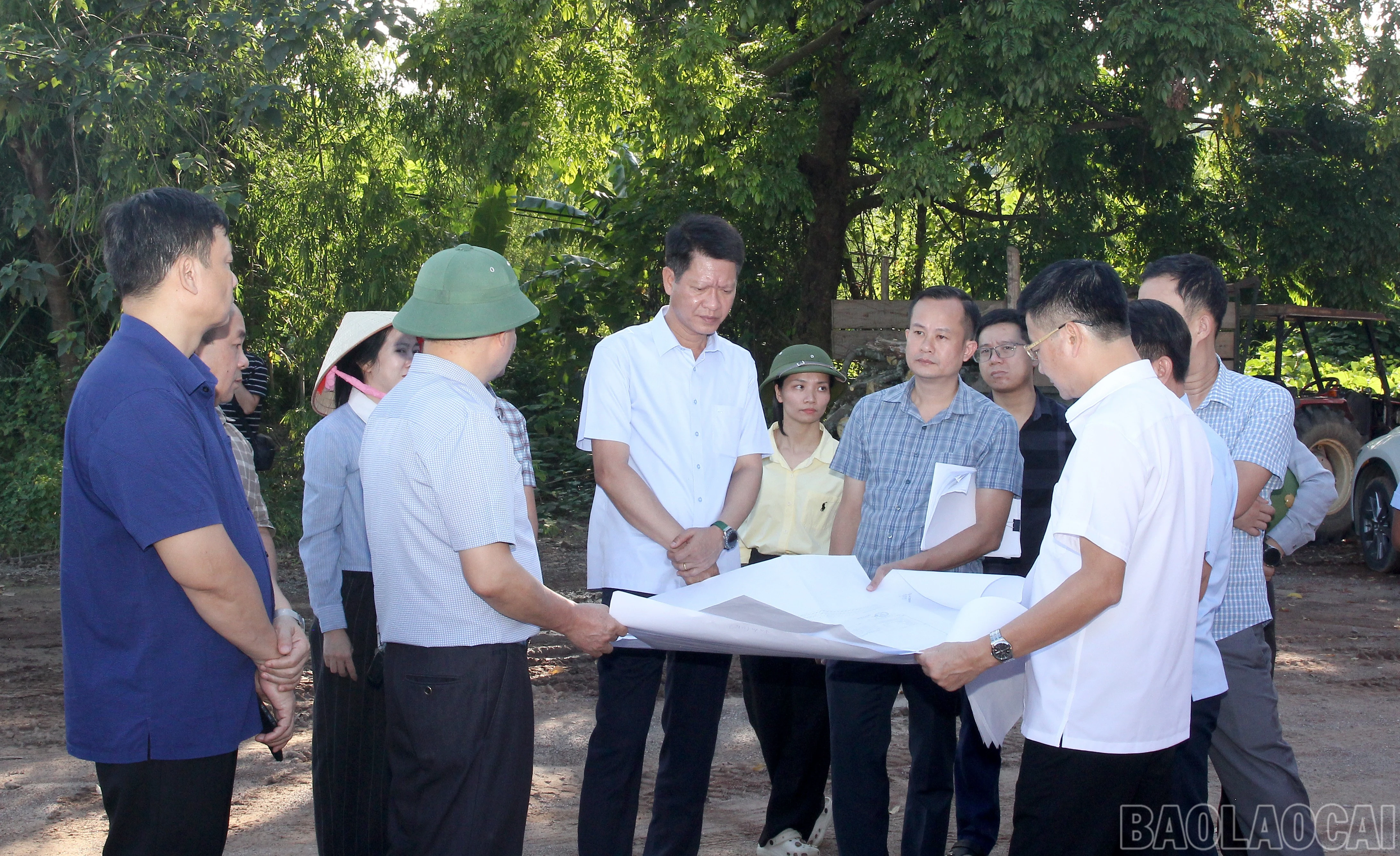 baolaocai-br_img-0476.jpg