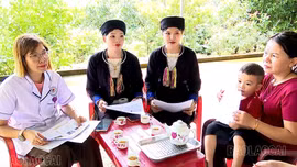 Cảnh giác nguy cơ ngộ độc từ nấm rừng và thực phẩm tự nhiên