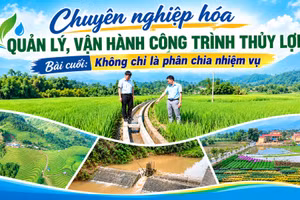 Bài cuối: Không chỉ là phân chia nhiệm vụ