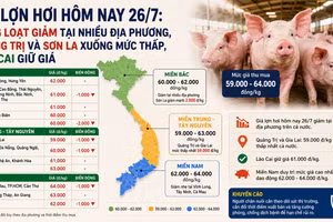 Giá lợn hơi hôm nay 26/7: Đồng loạt giảm tại nhiều địa phương, Quảng Trị và Sơn La xuống mức thấp, Lào Cai giữ giá