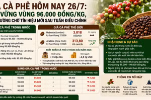 Giá cà phê hôm nay 26/7: Giữ vững vùng 96.000 đồng/kg, thị trường chờ tín hiệu mới sau tuần điều chỉnh
