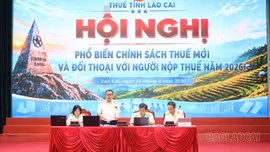 Thuế tỉnh Lào Cai phổ biến chính sách mới và đối thoại với doanh nghiệp