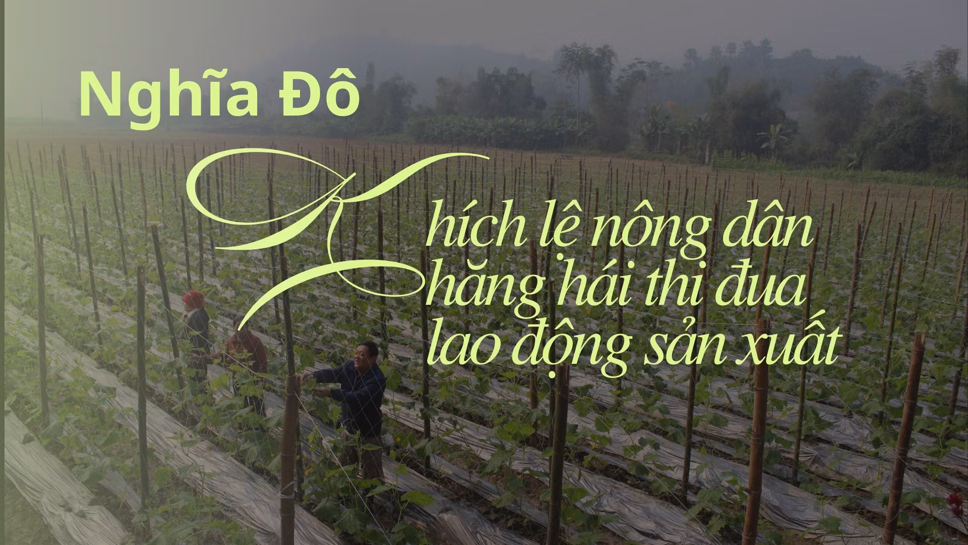Nghĩa Đô: Khích lệ nông dân hăng hái thi đua lao động sản xuất