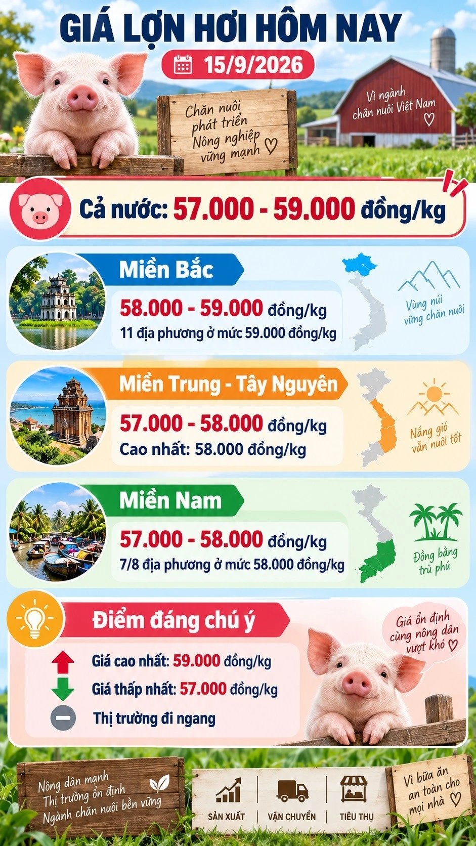 gia-heo-hoi-hom-nay-15-9-2026.jpg
