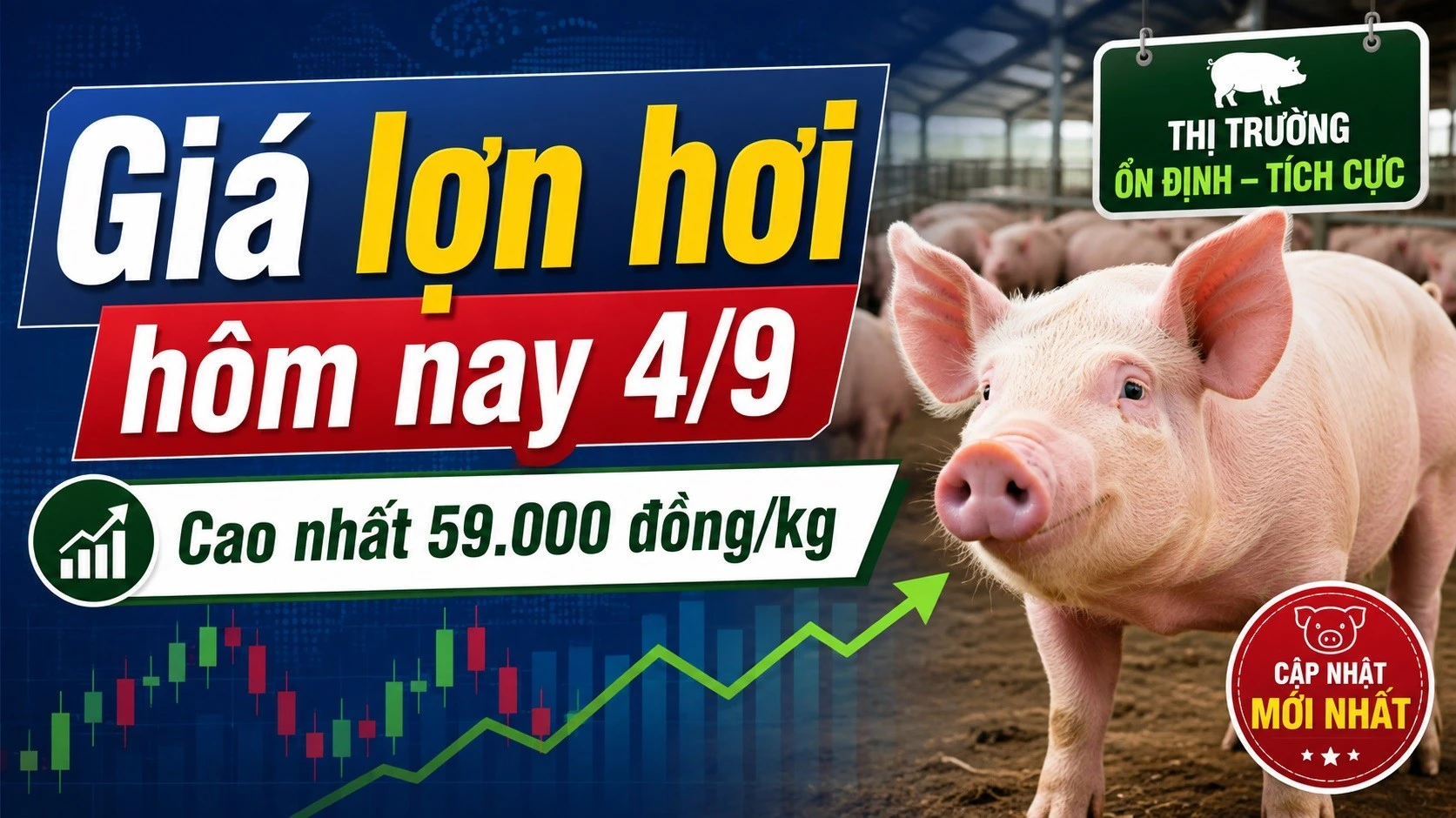gia-lon-hoi-hom-nay-4-9-2026-2351.jpg