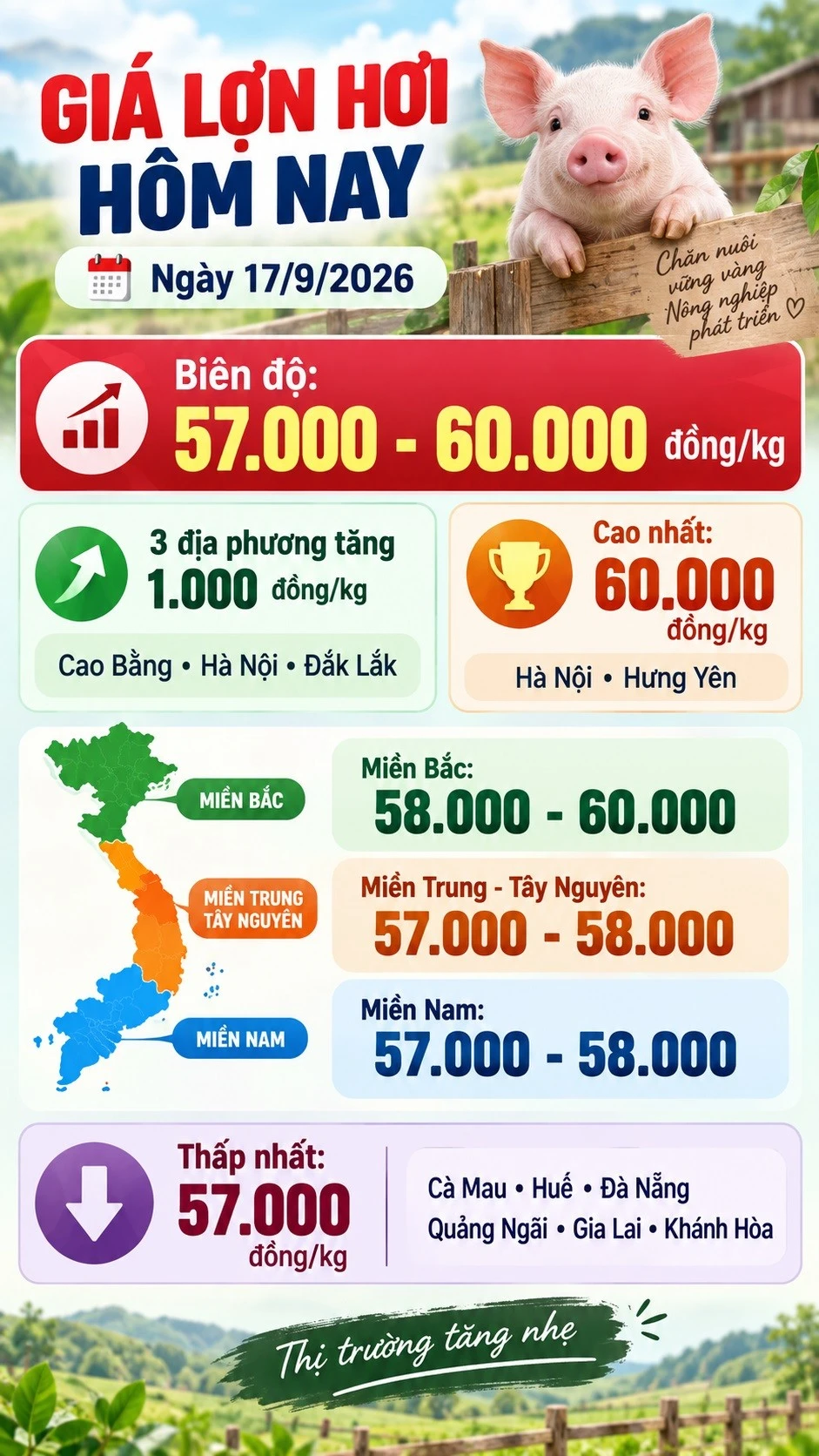gia-heo-hoi-hom-nay-17-9-2026.jpg