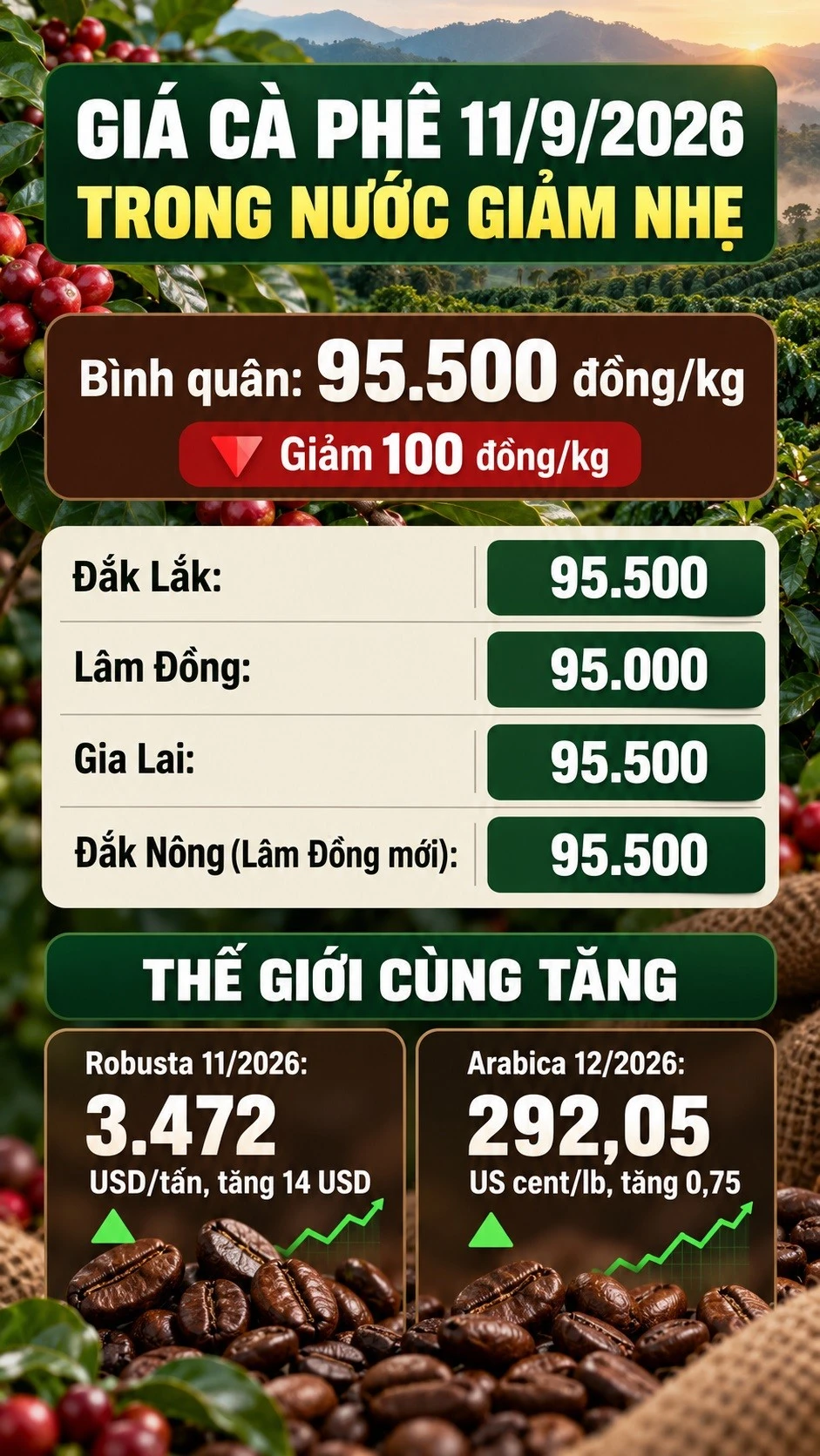 gia-ca-phe-hom-nay-11-9-2026-5546.jpg