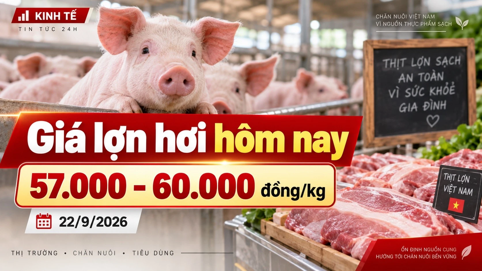 gia-heo-hoi-hom-nay-22-9-2026-2627.jpg