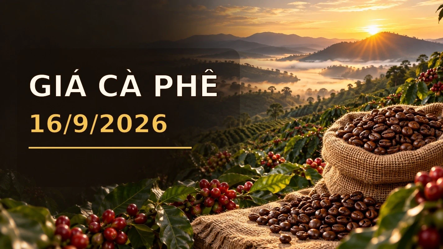 gia-ca-phe-16-9-2026.jpg
