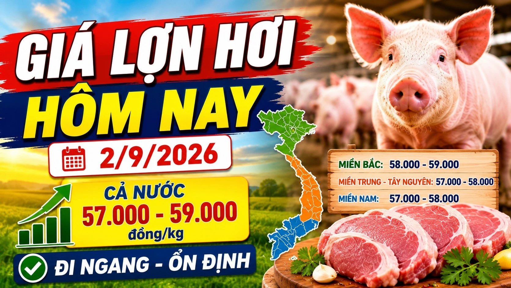 gia-heo-hoi-hom-nay-2-9-2026-3916.jpg