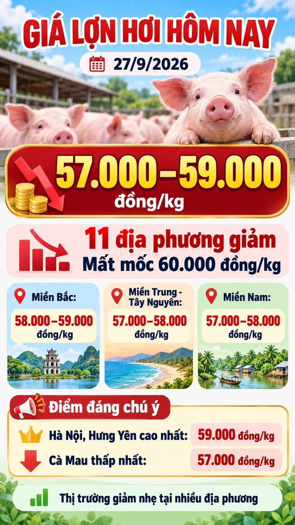 gia-heo-hoi-hom-nay-27-9-2026.jpg