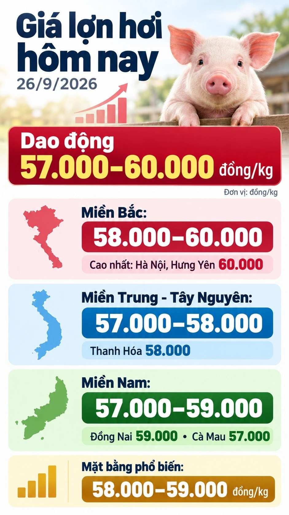 gia-heo-hoi-hom-nay-26-9-2026.jpg