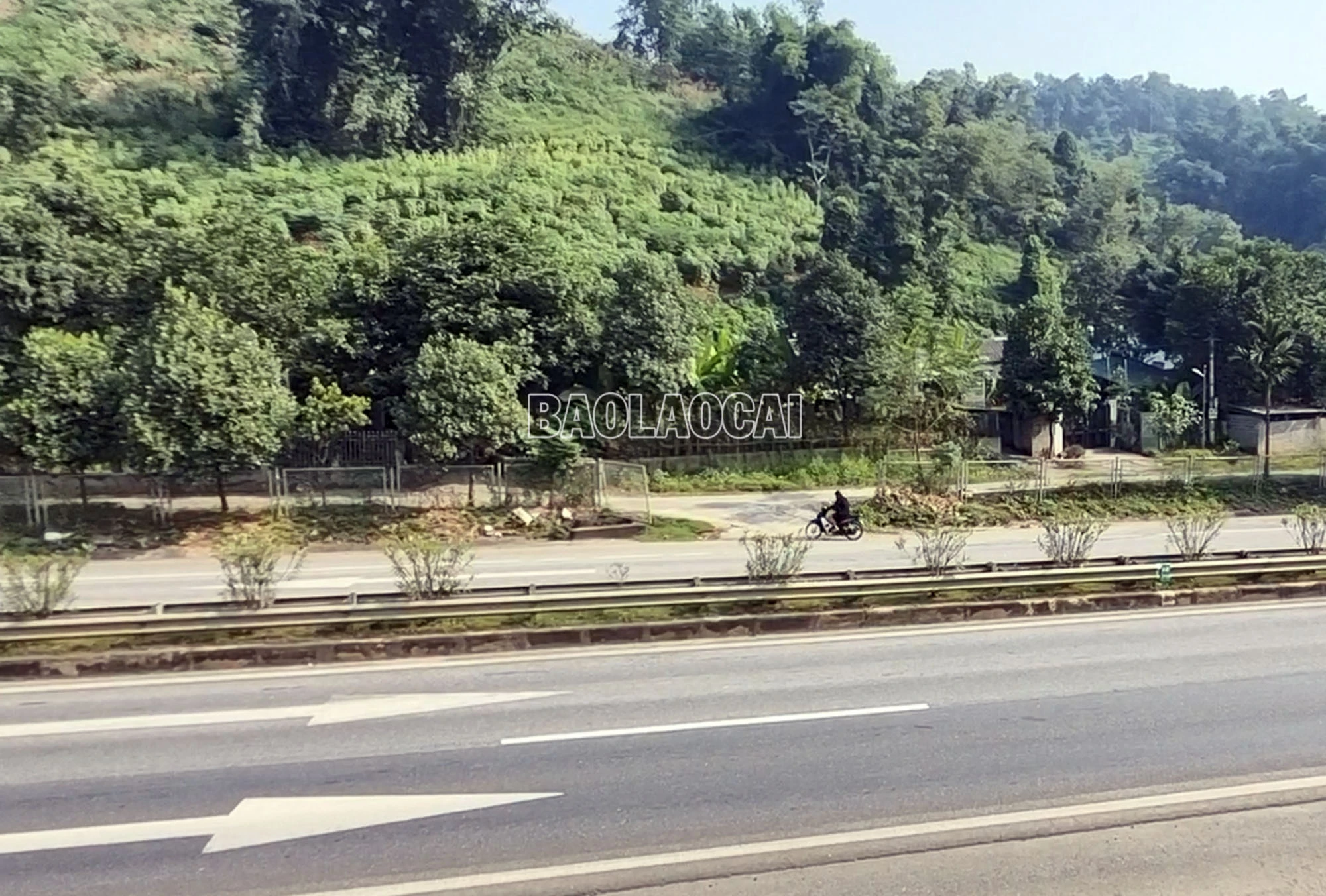 a000-7676.jpg