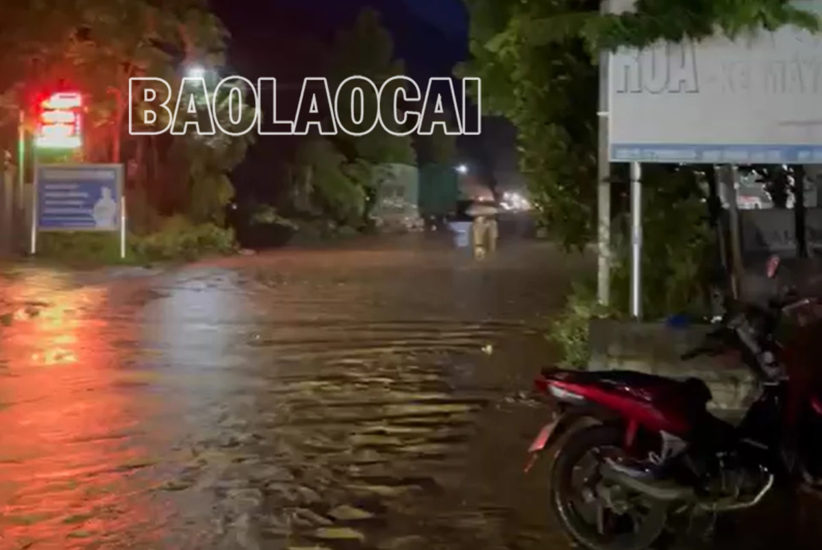 P1.jpg