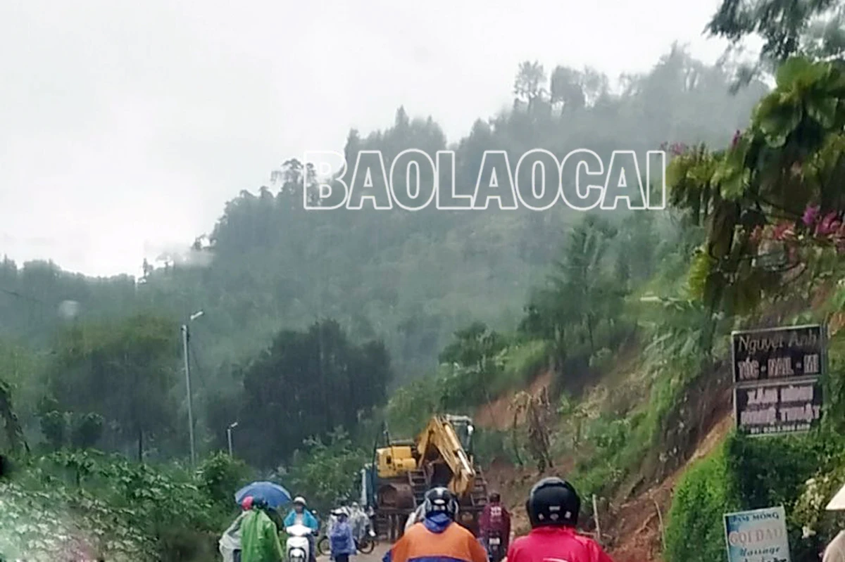 L2.jpg