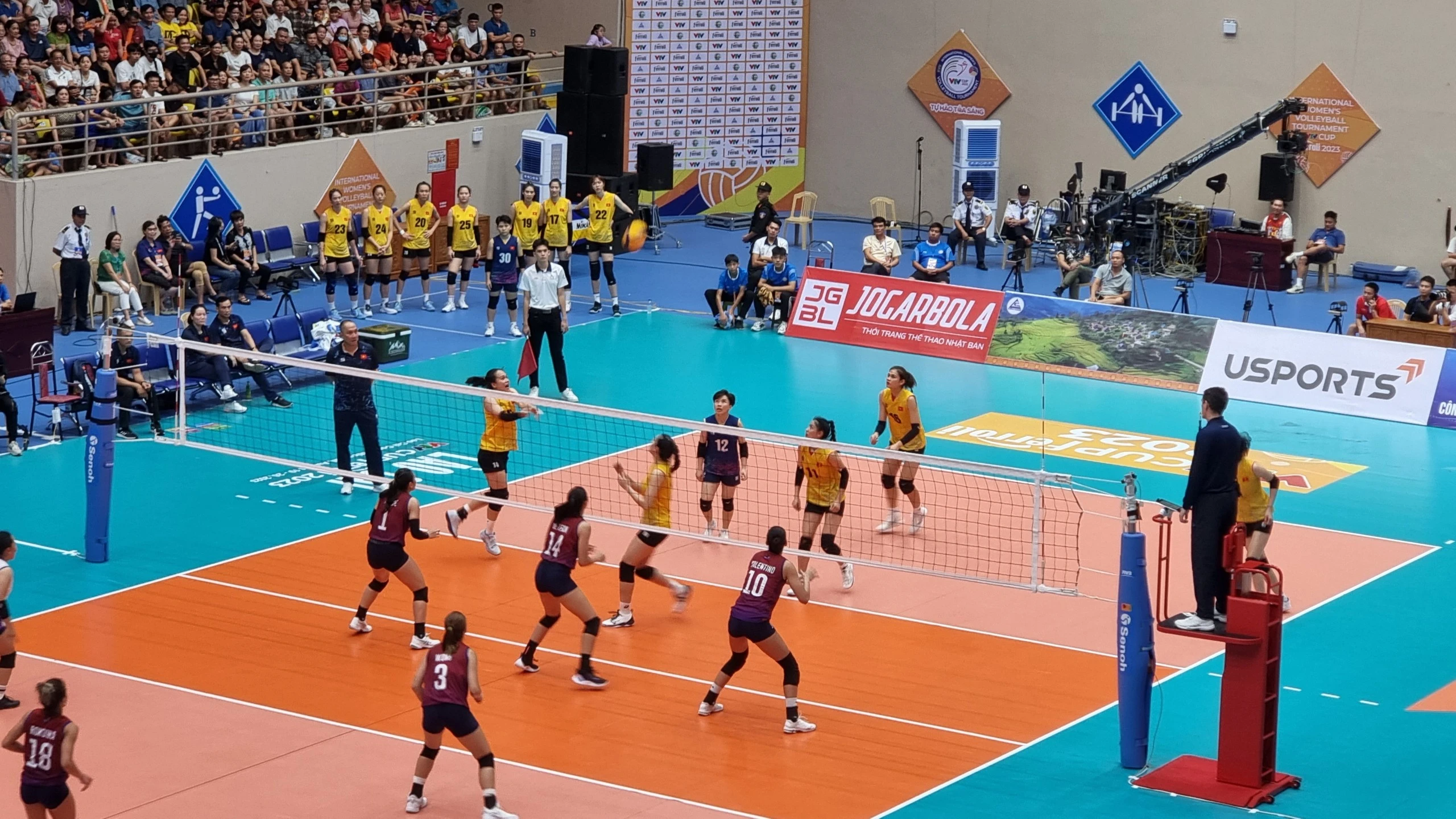 P6.jpg