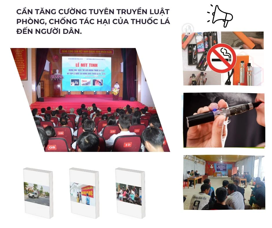 TL3.jpg