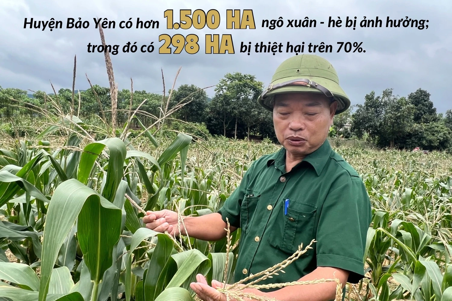BY111.jpg
