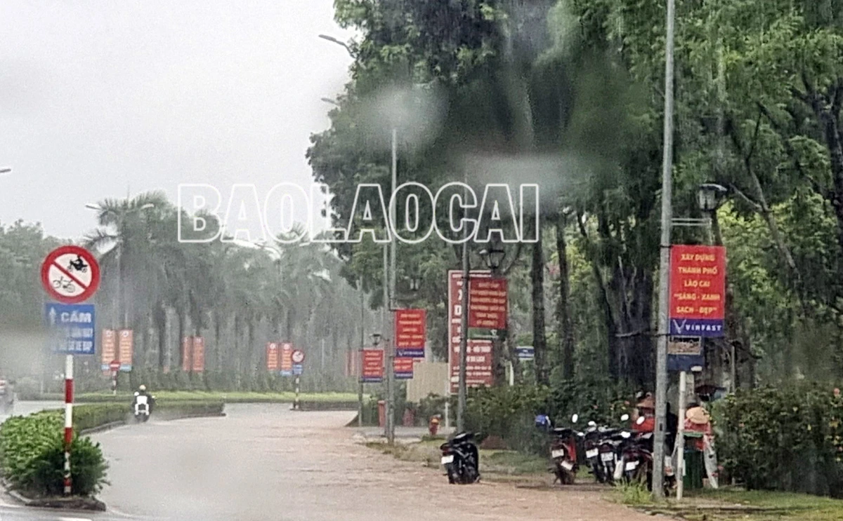 N10.jpg