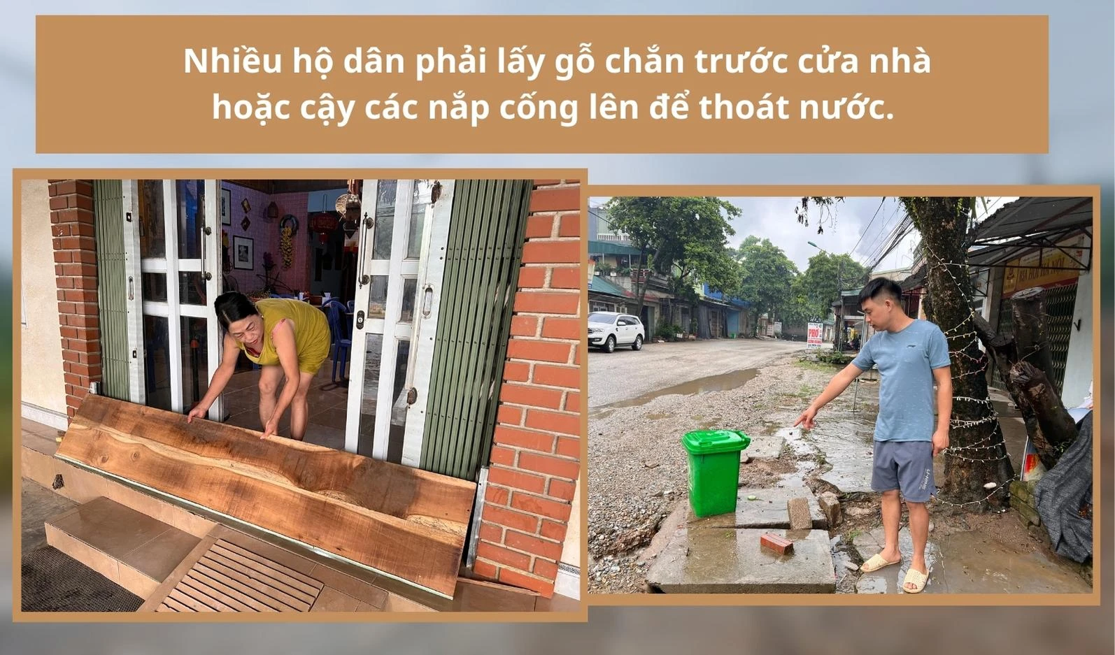 115.jpg