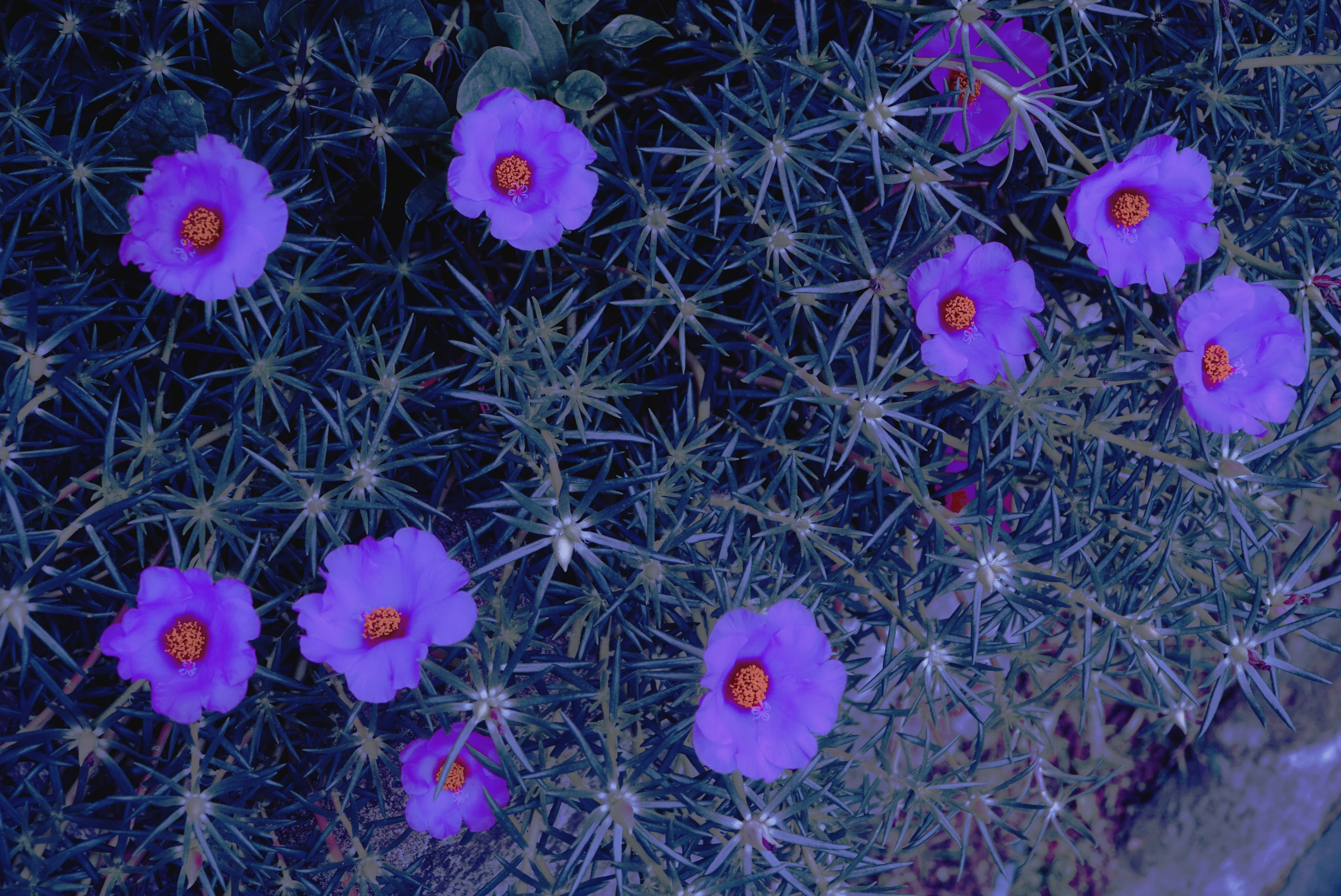 MTXX_MH20240424_163220887.jpg