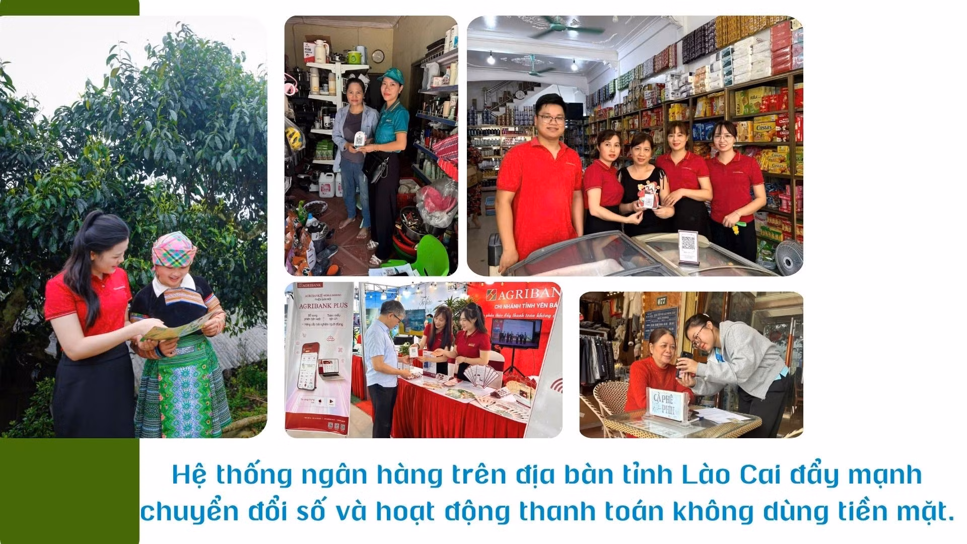 green-modern-hydroponic-farming-innovations-presentation-2026-01-16t135333612.jpg