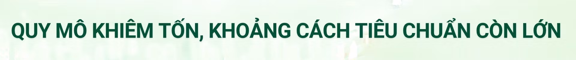 dam-bao.jpg