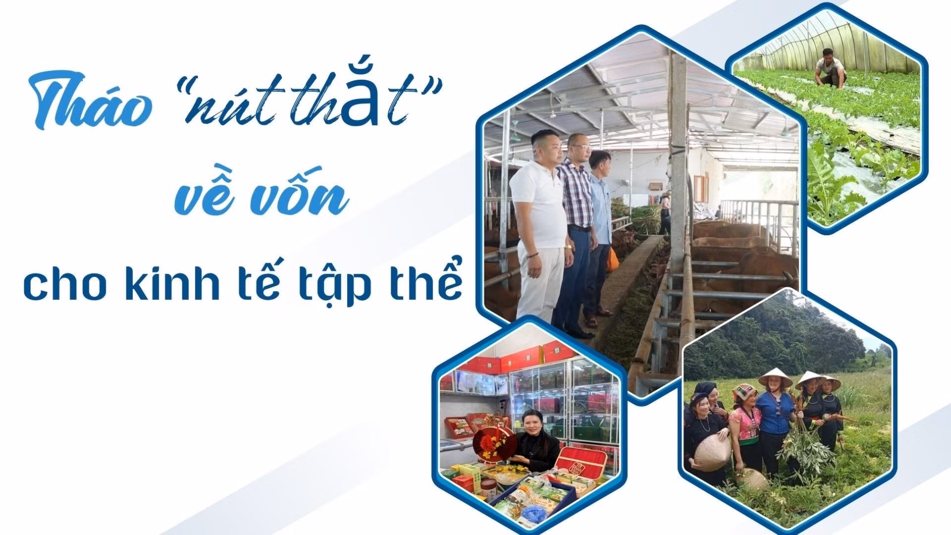 Tháo "nút thắt" về vốn cho kinh tế tập thể
