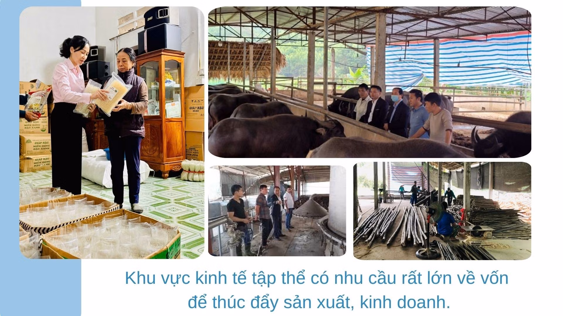 green-modern-hydroponic-farming-innovations-presentation-2026-03-18t224534771.jpg