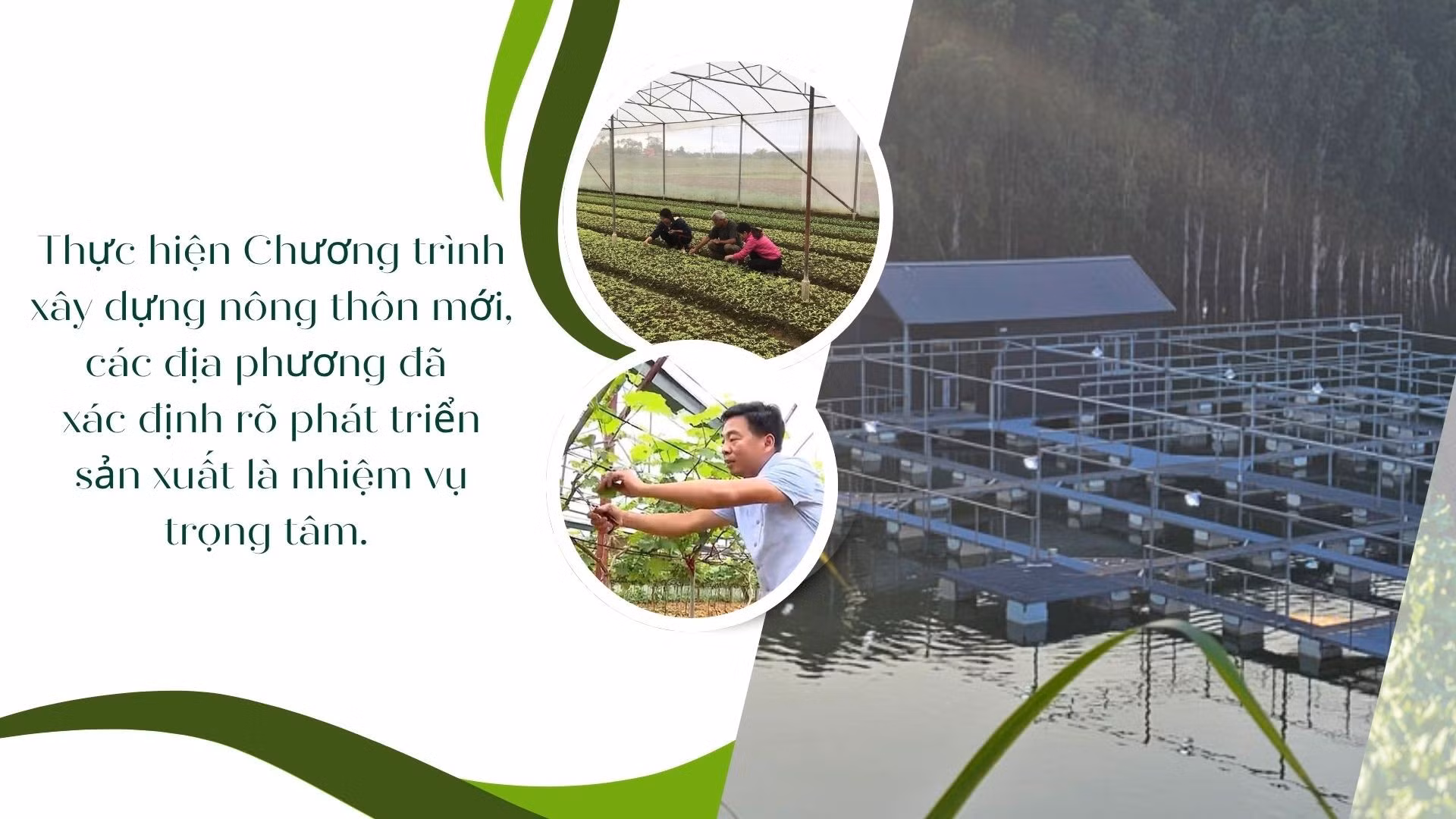 green-modern-hydroponic-farming-innovations-presentation-86.jpg