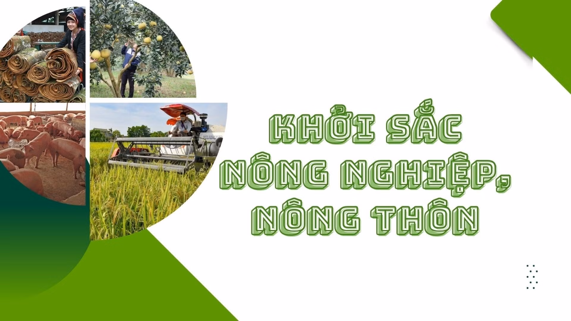 KHỞI SẮC NÔNG NGHIỆP, NÔNG THÔN 