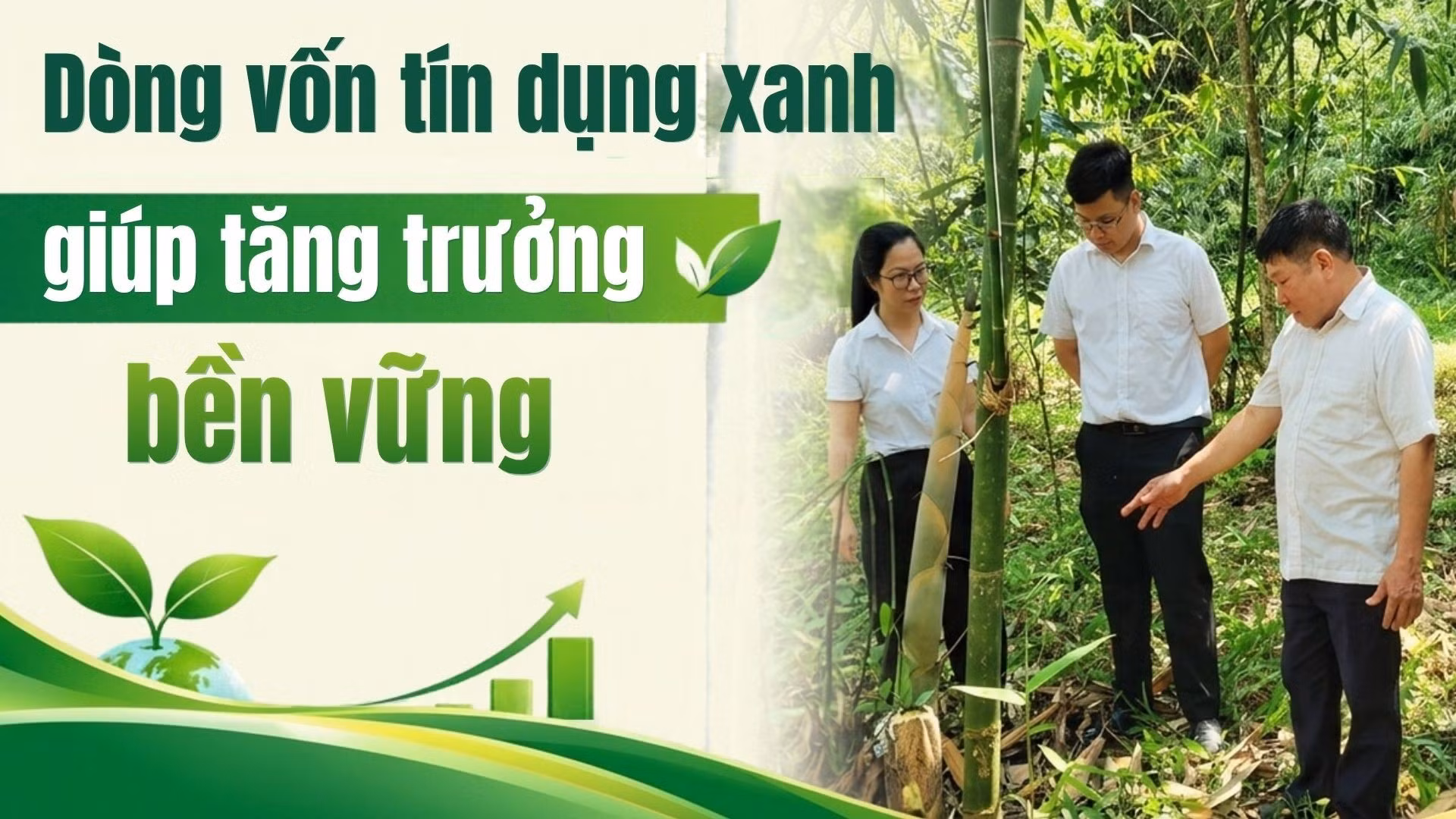 Dòng vốn tín dụng xanh giúp tăng trưởng bền vững 