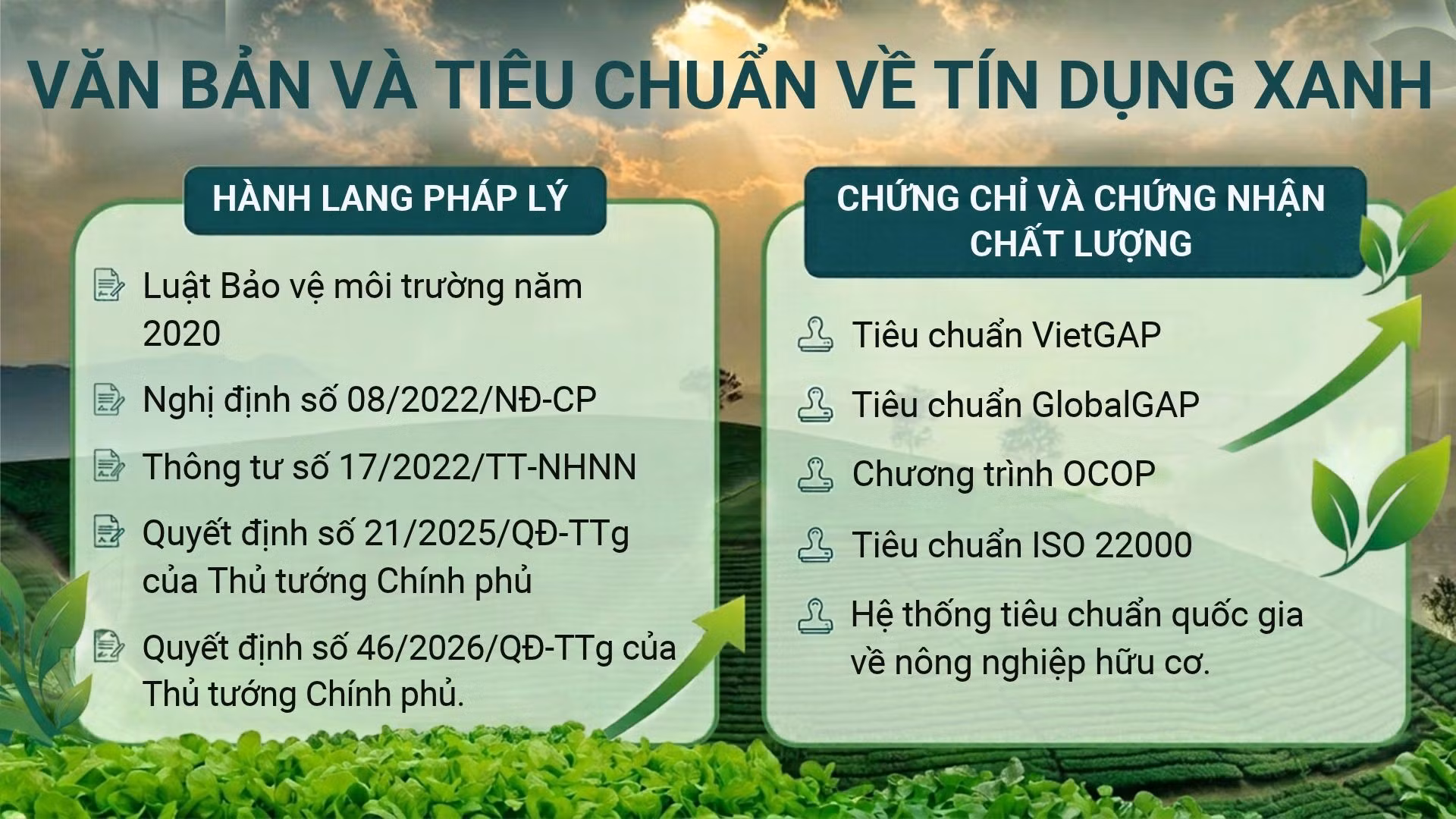 tieu-chuan-iso-22000-2.jpg
