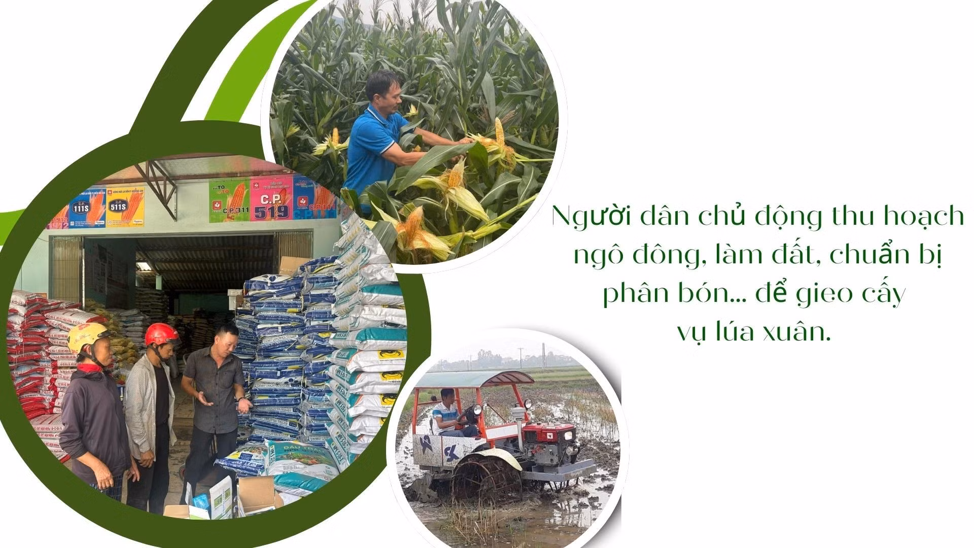 green-modern-hydroponic-farming-innovations-presentation-2026-01-11t220510895.jpg