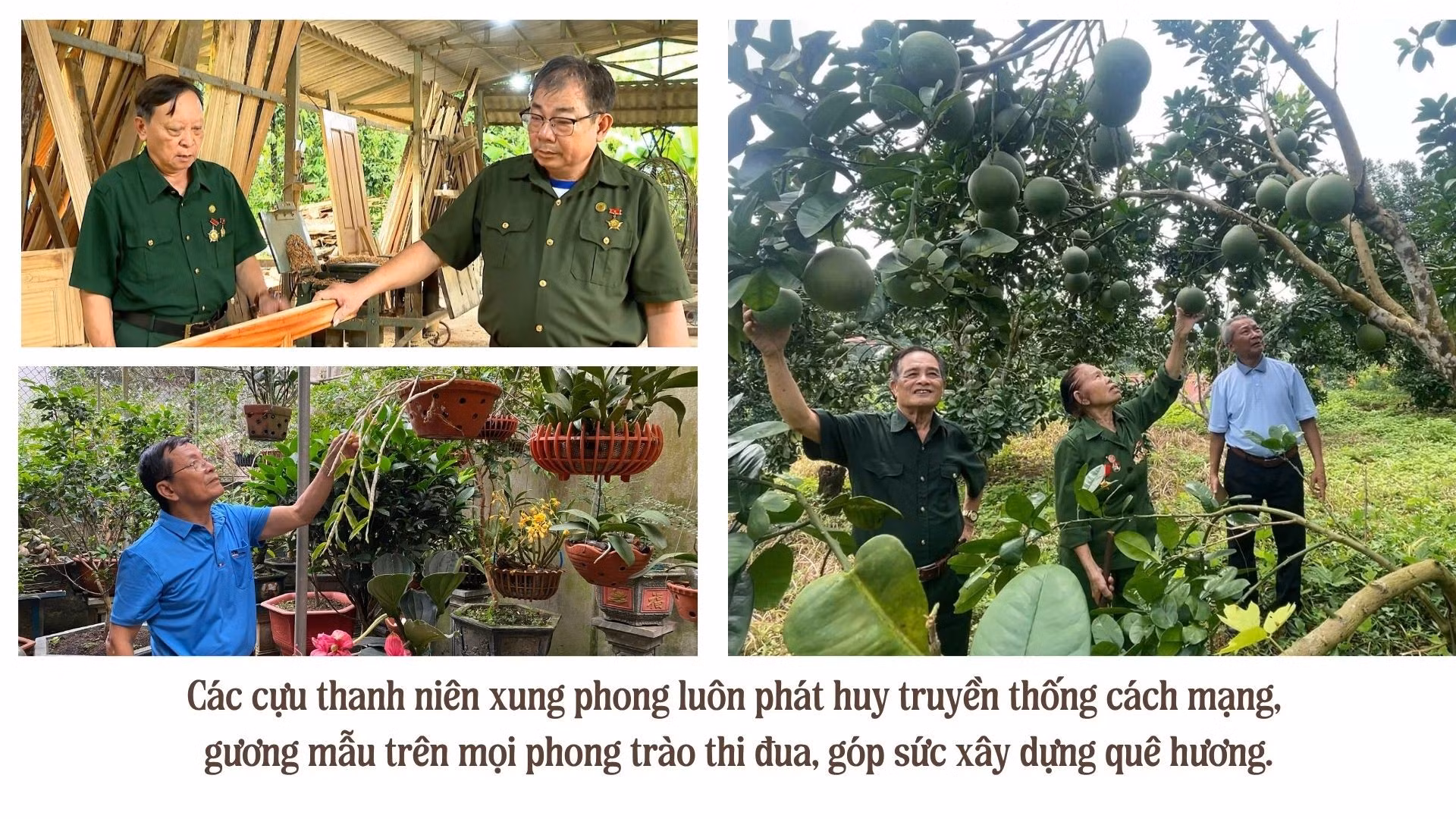 green-modern-hydroponic-farming-innovations-presentation-51.jpg