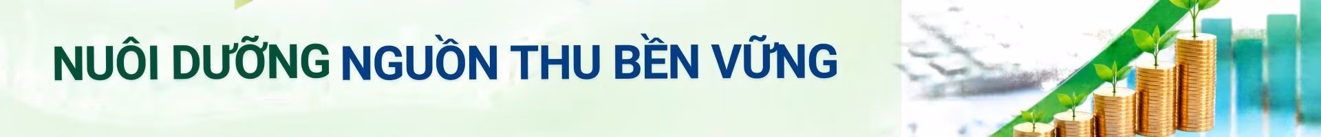 dam-bao.jpg
