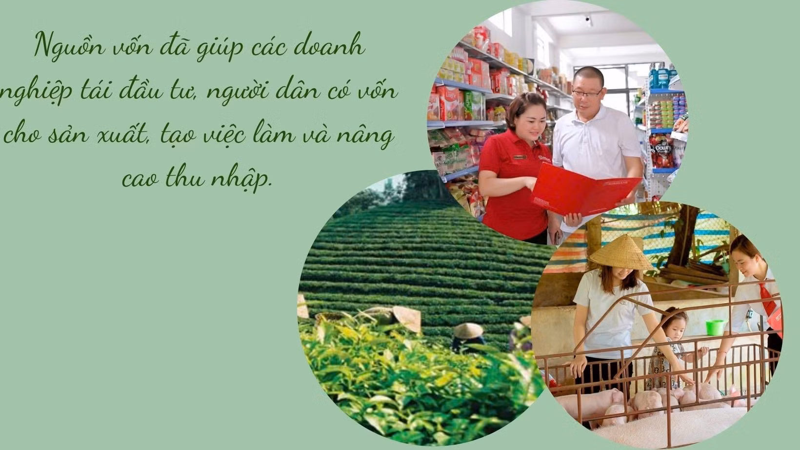 kham-pha-chu-net-co-anh-anh-bia-facebook-2.jpg