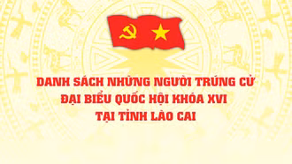 Những người trúng cử đại biểu Quốc hội khóa XVI tại tỉnh Lào Cai