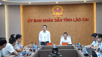 Lào Cai tháo gỡ khó khăn, bảo đảm cung ứng điện phục vụ mục tiêu tăng trưởng hai con số