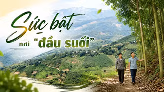 Sức bật nơi “đầu suối”