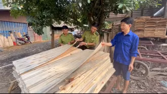 Sản xuất ván bóc sôi động trở lại