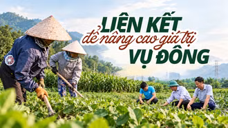 Liên kết để nâng giá trị vụ đông