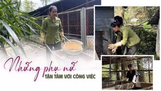 Những phụ nữ tận tâm với công việc
