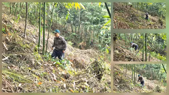 Gương sáng ở bản Chao