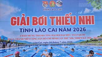 Sôi nổi Giải Bơi Thiếu nhi tỉnh Lào Cai năm 2026