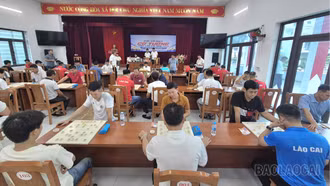 Khai mạc Giải Vô địch Cờ tướng tỉnh Lào Cai năm 2026